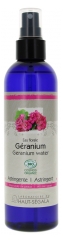 Laboratoire du Haut-S&eacute;gala Eau Florale de G&eacute;ranium Biologique**250Ml