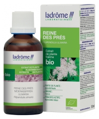 Ladr&ocirc;me Extrait de Plante Reine-Des-Pr&eacute;s Sommit&eacute; Fleurie 50 ml Fr/Nl/es