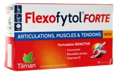 Tilman Flexofytol Forte 28 Comprim&eacute;s