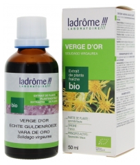 Ladr&ocirc;me Extrait de Plante Verge d'or Sommit&eacute; Fleurie 50 ml Fr/Nl/es