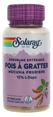 Solaray Pois &agrave; Gratter&nbsp; - 333 mg Standardis&eacute; &agrave; 15% de l-Dopa - 60 Caps. V&eacute;g.