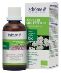 Ladr&ocirc;me Extrait de Plante Achill&eacute;e Millefeuille Partie A&eacute;rienne Fleurie 50 ml Fr/Nl/es