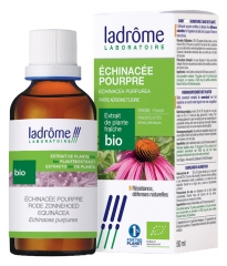 Ladr&ocirc;me Extrait de Plante Echinacee Pourpre Plante Enti&egrave;re Fleurie 100 ml Fr/Nl/es