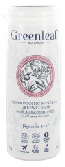Shampoing Min&eacute;ral Purifiant Aloe Vera Bio 50 g