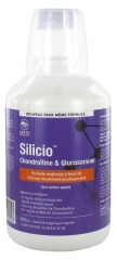 Phytoresearch Silicio Chondro&iuml;tine & Glucosamine 500 ml