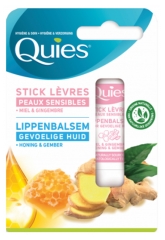 Quies Sticks L&egrave;vres Miel Gingembre - &Eacute;tui 1 Unit&eacute;