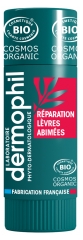 Dermophil Indien R&eacute;paration L&egrave;vres Ab&icirc;m&eacute;es Bio Stick 4 g