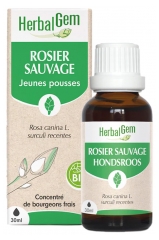 HerbalGem Rosier Sauvage Jeunes Pousses Bio 30 ml