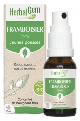 HerbalGem Framboisier (Jeunes Pousses) Spray Bio 15 ml