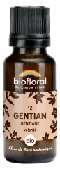 Biofloral 12 Gentian Gentiane Granules Bio 19,5 g