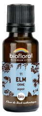 Biofloral 11 Elm Orme Granules Bio 19,5 g