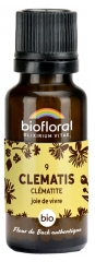 Biofloral 09 Clematis Cl&eacute;matite Granules Bio 19,5 g