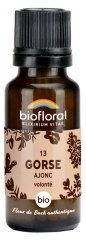 Biofloral 13 Gorse Ajonc Granules Bio 19,5 g