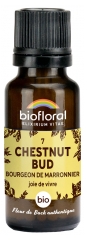 Biofloral 07 Chestnut Bud Bourgeons Marronnier Bio 19,5 g