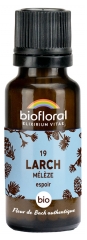 Biofloral 19 Larch M&eacute;l&egrave;ze Granules Bio 19,5 g