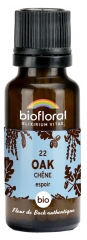 Biofloral 22 Oak Ch&ecirc;ne Granules Bio 19,5 g