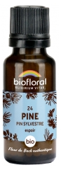 Biofloral 24 Pine Pin Sylvestre Granules Bio 19,5 g