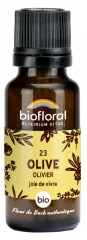 Biofloral 23 Olive Olivier Granules Bio 19,5 g