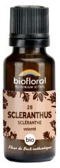 Biofloral 28 Scleranthus Scl&eacute;ranthe Granules Bio 19,5 g