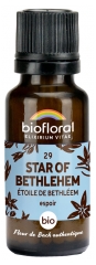 Biofloral 29 Star Of Bethlehem &Eacute;toile de Bethleem Granules Bio 19,5 g