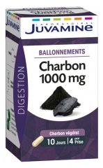 Juvamine Charbon 1000 mg Ballonnements 40 G&eacute;lules
