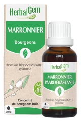 HerbalGem Marronnier Bio - Concentr&eacute; de Bourgeons Frais - 30 ml
