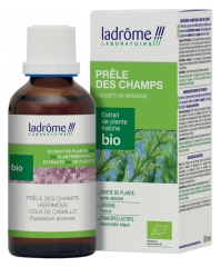Ladr&ocirc;me Extrait de Plante Pr&egrave;le Des Champs Partie A&eacute;rienne 50 ml Fr/Nl/es