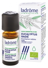 Ladr&ocirc;me Huile Ess. Eucalyptus Radie Feuille 10 ml Fr/Nl