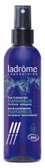 Ladr&ocirc;me Eau Florale Hamam&eacute;lis Feuille 200 ml Fr/Nl