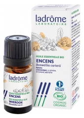 Ladr&ocirc;me Huile Essentielle Encens Bio 5 ml