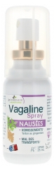 Les 3 Ch&ecirc;nes Vagaline Naus&eacute;es Spray Buccal 25 ml