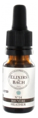 Elixirs & Co Complexe Anti-Stress aux Fleurs de Bach 20 ml