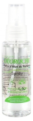 Bioxydiet Deoroche &reg; Spray Alun Vert - Flacon Spray de 75 ml