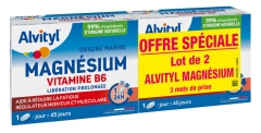 Alvityl Magn&eacute;sium + Vitamine B6 - Lib&eacute;ration Prolong&eacute;e - 90 Jours