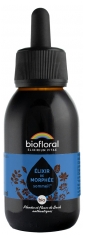 Biofloral &Eacute;lixir de Morph&eacute;e Sommeil Compte Gouttes Bio 100 ml