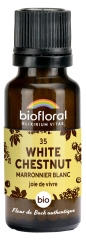 Biofloral 35 White Chestnut Marronnier Blanc Bio 19,5 g