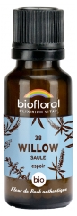 Biofloral 38 Willow Saule Bio 19,5 g