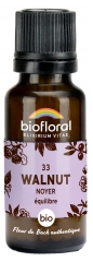 Biofloral 35 Walnut Noyer Bio 19,5 g