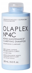 Shampoing Clarifiant Pour Cheveux 250 ml
