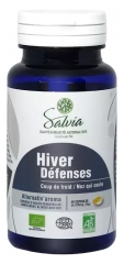 Salvia Nutrition Alternativ'Aroma Hiver D&eacute;fenses Bio 40 Unit&eacute;s