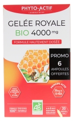 Phyto-Actif Gel&eacute;e Royale 4000 mg Bio 20 Ampoules dont 6 Ampoules Offertes