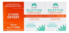 Jaldes Silettum Fortifiant R&eacute;sistante et Brillance Lot de 3 x 60 Comprim&eacute;s dont 60 Offerts