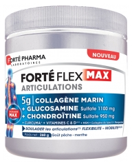 Fort&eacute; Pharma Fort&eacute; Flex Max Articulations Collag&egrave;ne Marin 260 g