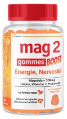 Mag 2 Boost &Eacute;nergie et Nervosit&eacute; Magn&eacute;sium 45 Gommes