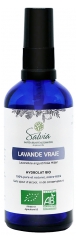 Salvia Nutrition Lavande Vraie Biologique 100 ml