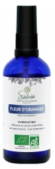 Salvia Nutrition Fleur d'Oranger Biologique 100 ml