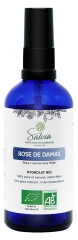 Salvia Nutrition Rose de Damas Biologique 100 ml