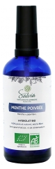 Salvia Nutrition Menthe Poivr&eacute;e Biologique 100 ml
