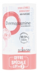 Boiron Dermoplasmine ? Stick L&egrave;vres au Calendula Lot de 2 Sticks de 4 g
