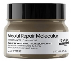 Absolut Repair Molecular L'Or&eacute;al Masque R&eacute;parateur Absolut Repair Molecular L'Or&eacute;al Pro 250ml